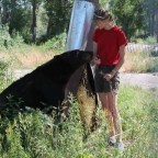 Bear Days and Keeping Busy